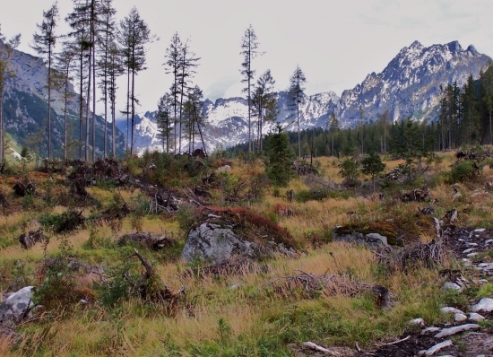 jeseň v Megusovskej ...