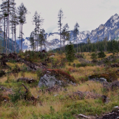 jeseň v Megusovskej ...