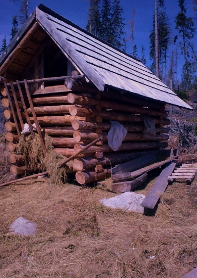 potreboval by vyprášiť kožuch ...