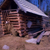 potreboval by vyprášiť kožuch ...