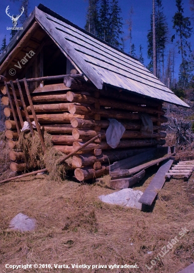 potreboval by vyprášiť kožuch ...