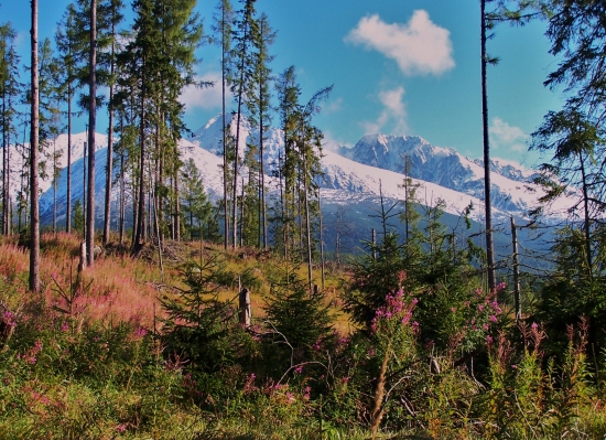 Perinbaba nemá kalendár ...