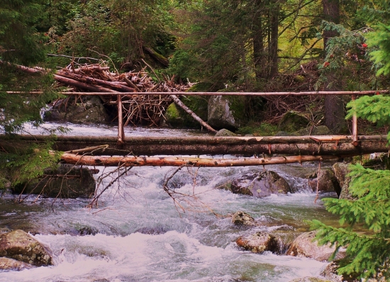 odolala aj povodni ...
