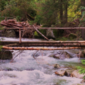 odolala aj povodni ...