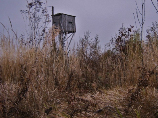 posedík v tráve ...