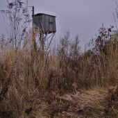 posedík v tráve ...