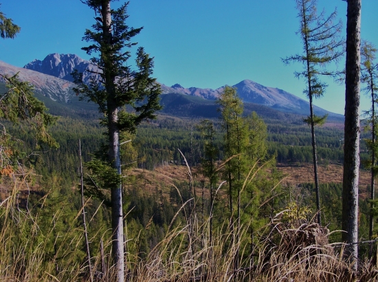 ráno z Osikového vrchu ...
