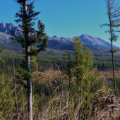 ráno z Osikového vrchu ...