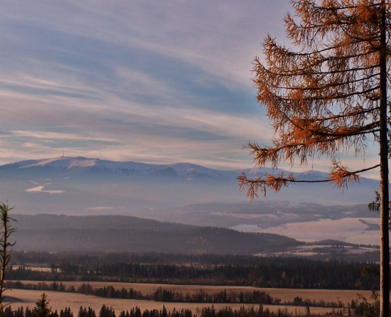 pod Kráľovou holou
