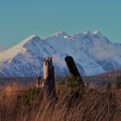 november pod Patriou ...