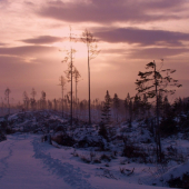 už zimné ráno ...