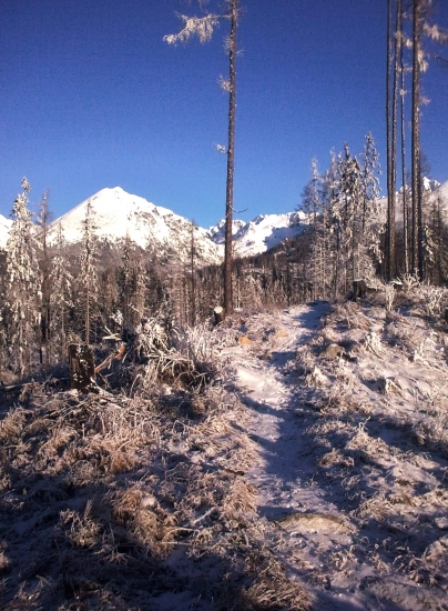 po vlčom chodníku ...