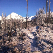 po vlčom chodníku ...