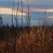 ešte pred snehom ...