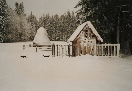 už treba pomôcť ...