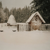 už treba pomôcť ...
