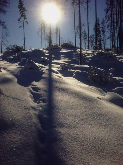 zimné slnko