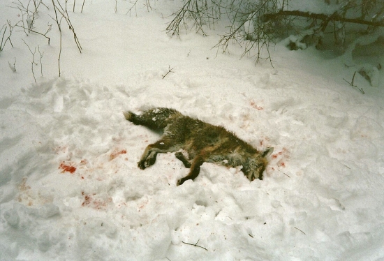 nebudeš sa priživovať ...