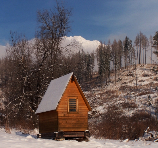 japonská poľov. chatka
