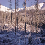 normálny zimný deń