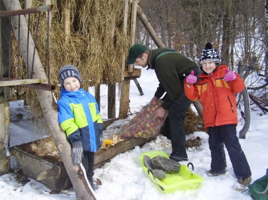 Ako sme dnes prikrmovali