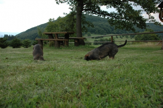 Náš Rony so sestrou Mordou