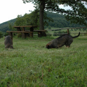Náš Rony so sestrou Mordou