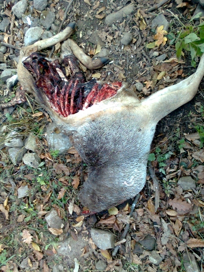 vyzerá to na upytliačeného