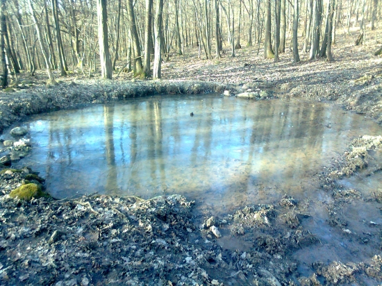 veľké