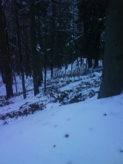 Doranaa hodovaliii........