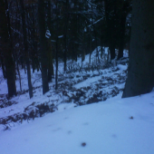 Doranaa hodovaliii........