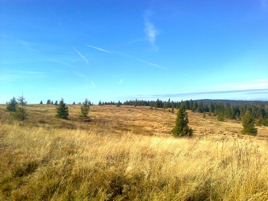 Dneskajšia prechadzka