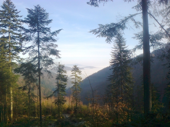 Pekna stravena nedela ....