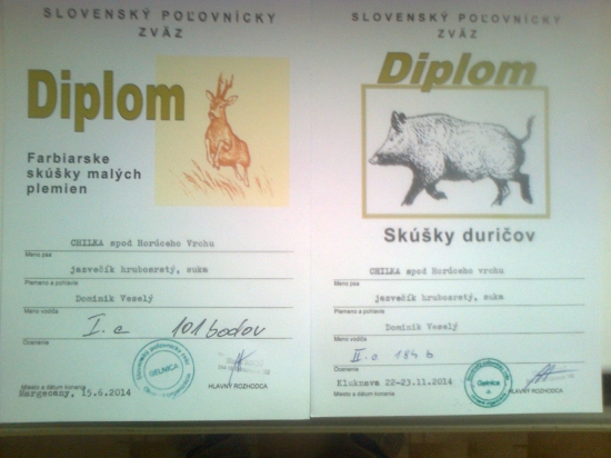 Tohoročne úspechy môjho trhača ....FSMP a SD