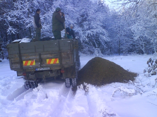 Rane prikrmovanie zvery