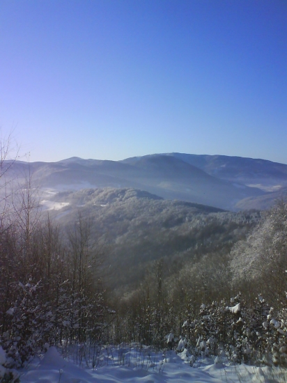 Prechadzka po lese