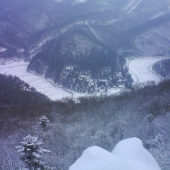 Ranna prechacka lesom