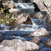 Najhornejší tok rieky Poprad