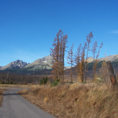 Západný vietor na Žakovskej poľane
