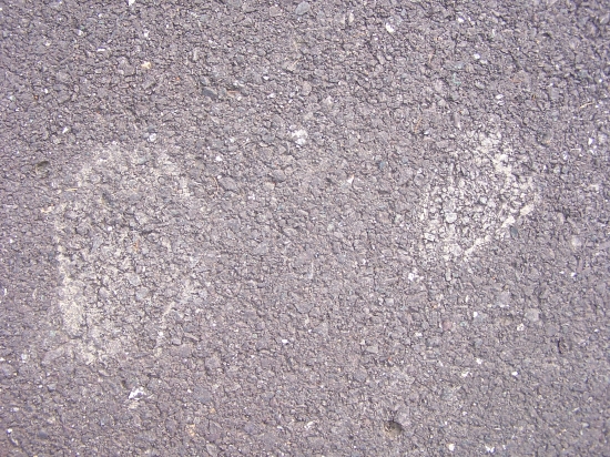 Ešte nespia: stopy medvedice s mláďaťom