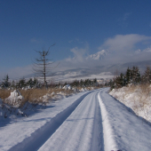 Predvianočná nálada 1