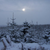 Slnečné variácie 2