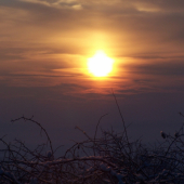 Slnečné variácie 1