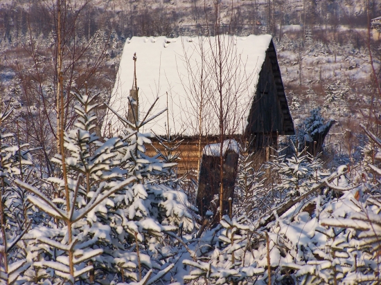 Zásobáreň potravy