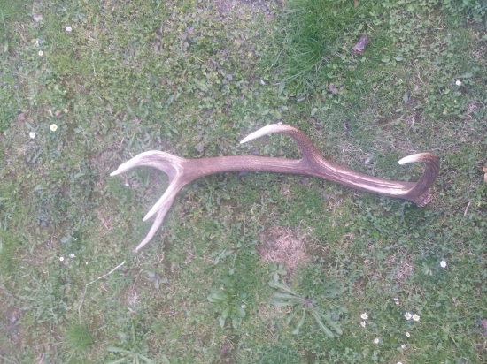 Po roku opäť spolu, para k ID313701