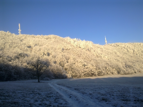 Pohľad na Studenú stráň