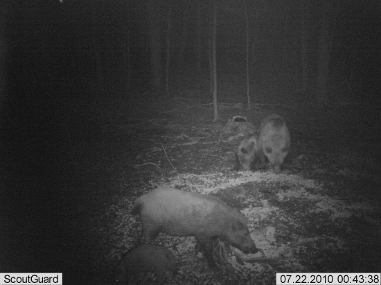 Že vraj spolu nie...