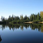 Jamské Pleso
