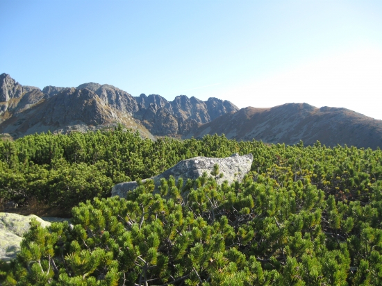 Tatry