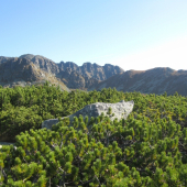 Tatry